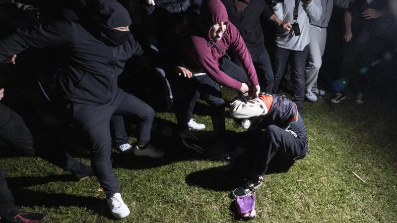 UCLA protest