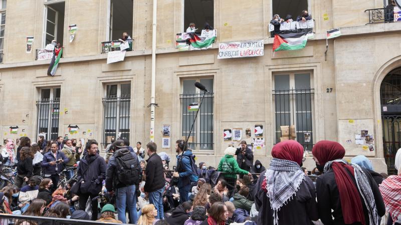 Protestors