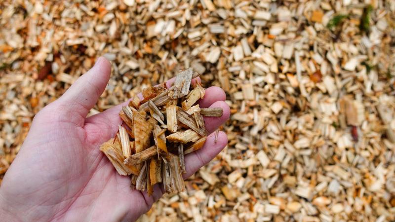 biomass