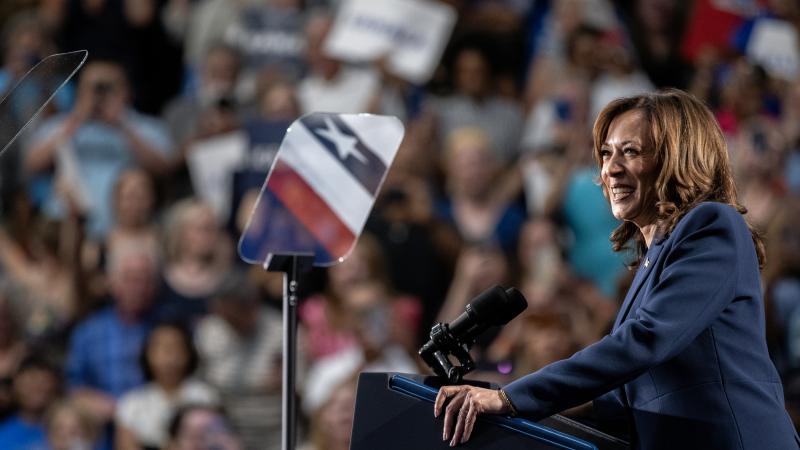 Vice President Kamala Harris