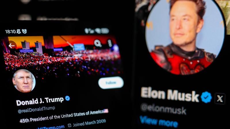 musk trump