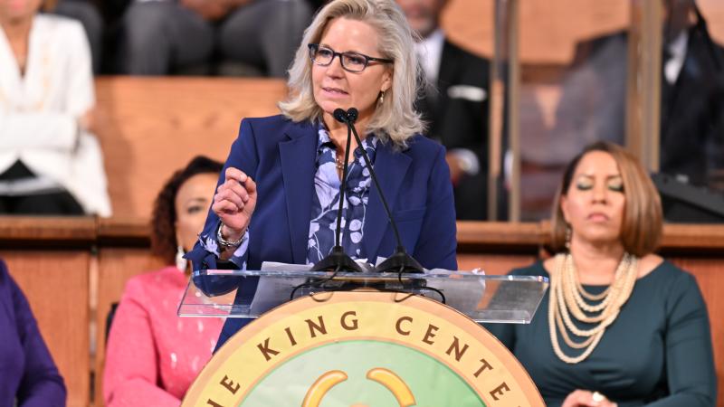 Liz Cheney