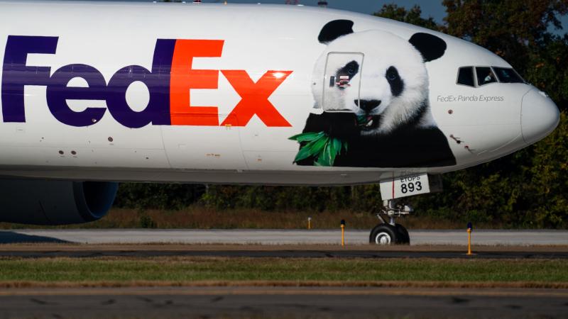 pandas
