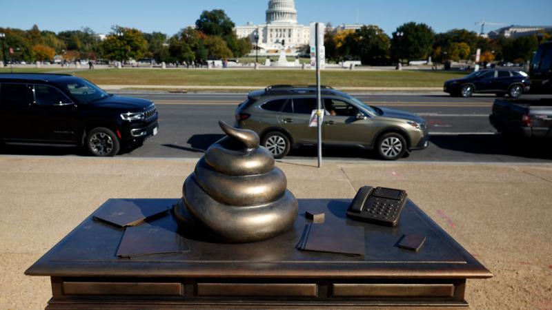 Poop statue 