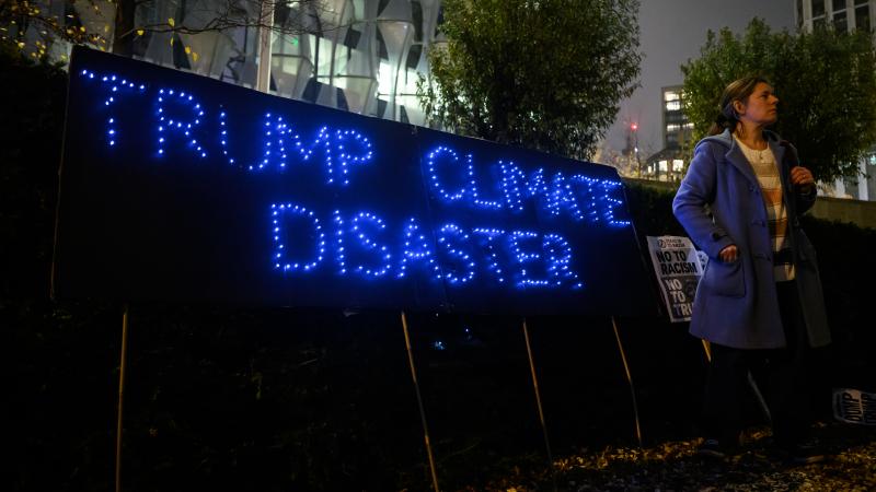 trump protest