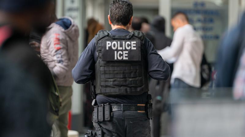 ICE Agent