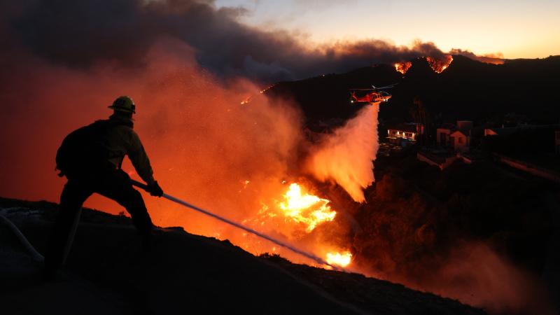 Palisades fire