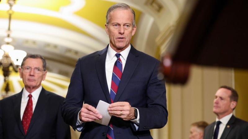 John Thune