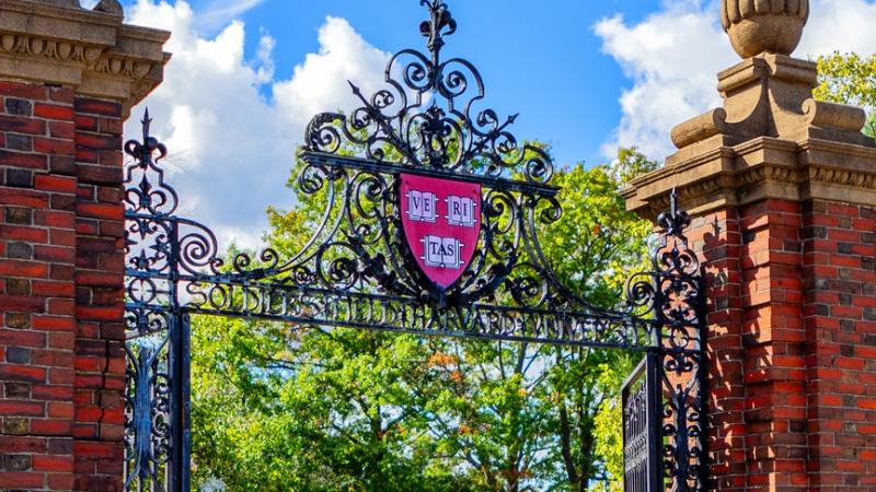 Harvard University