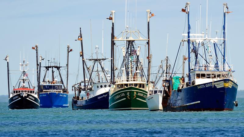 Flotilla