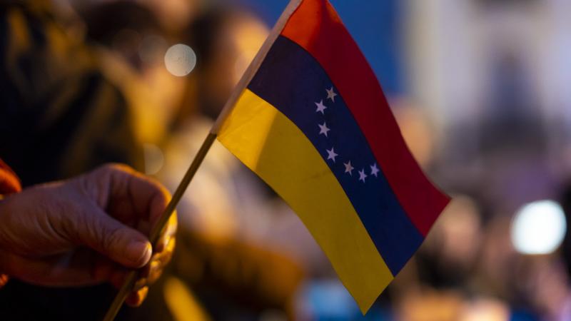 Venezuela flag