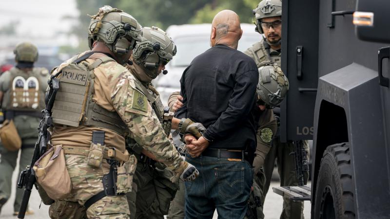 suspected illegal immigration arrests 