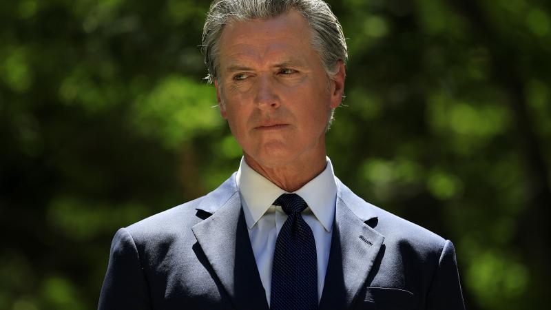 Gavin Newsom