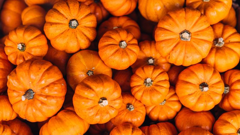 pumpkins