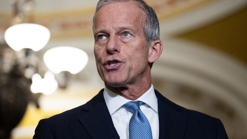 John Thune