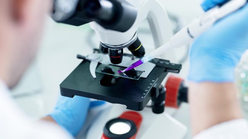 Microscope