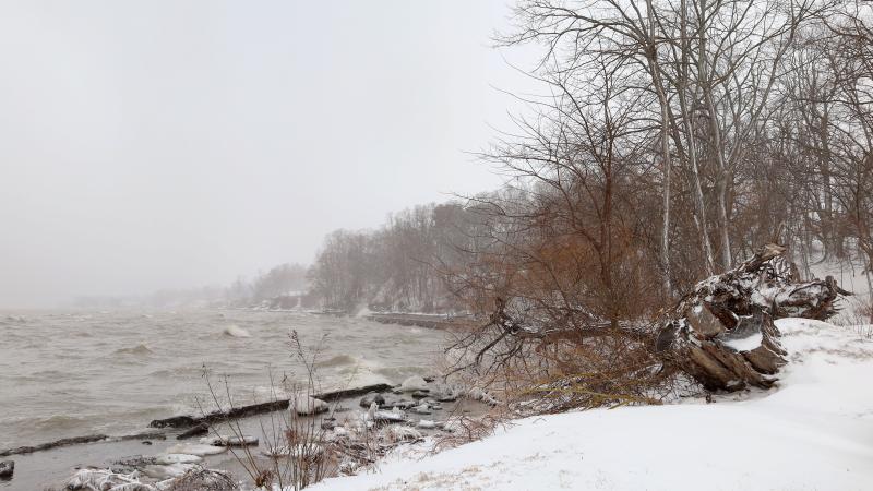 Winter storm 