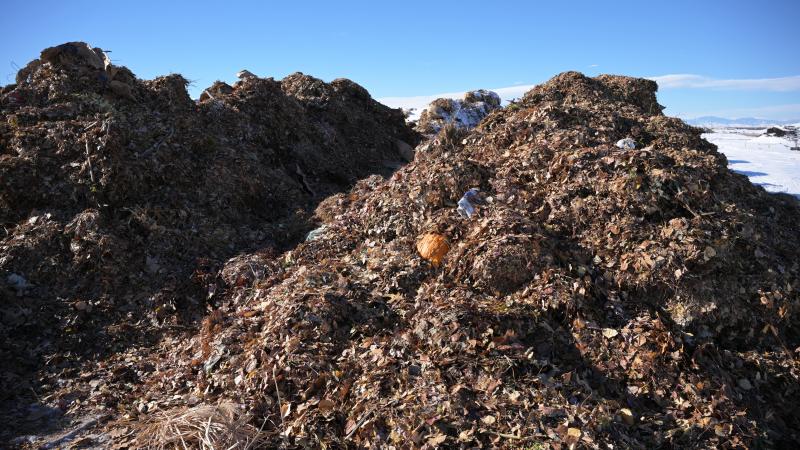 landfill