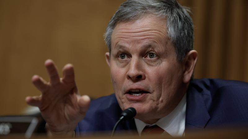Steve Daines