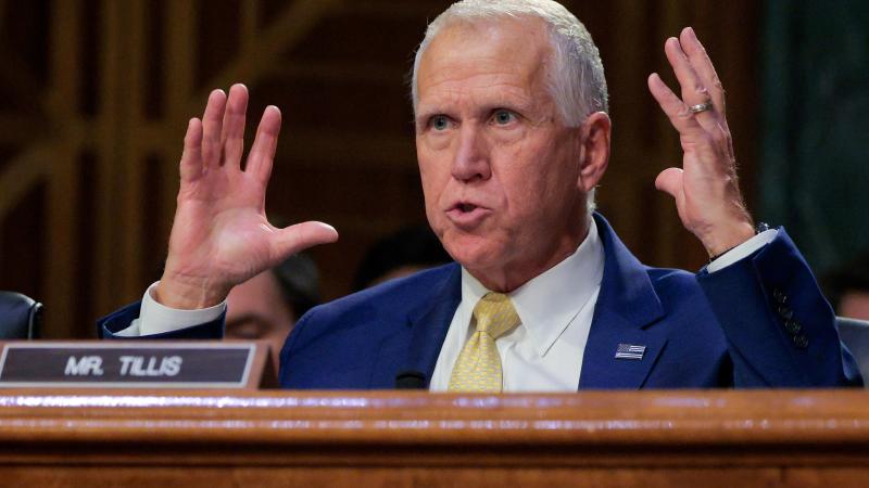 Thom Tillis