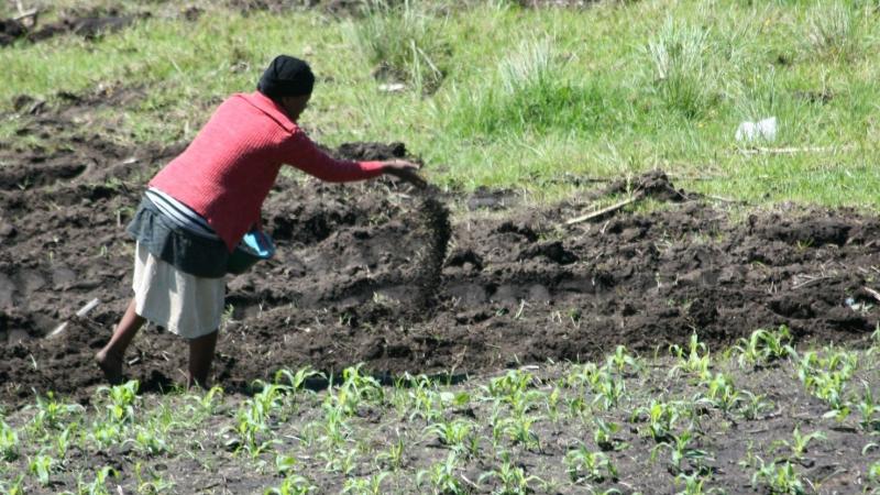 Fertilizer use