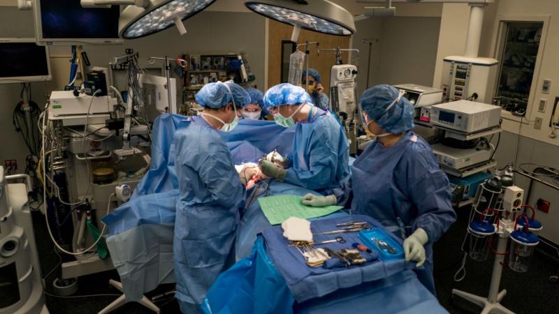 Transgender surgery