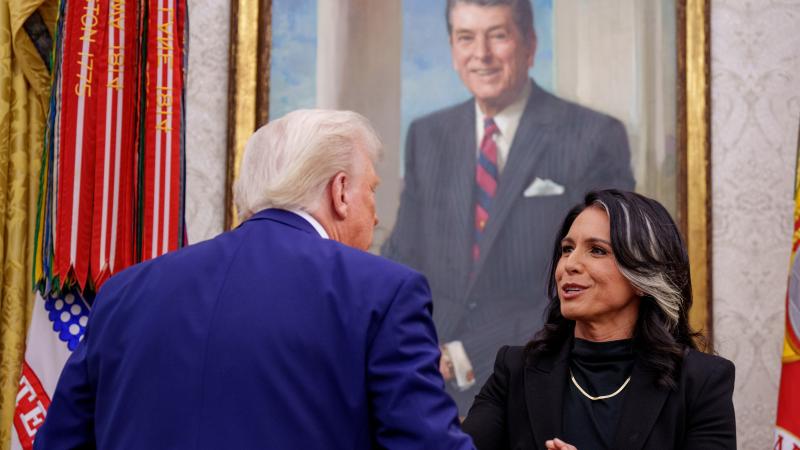 Tulsi Gabbard