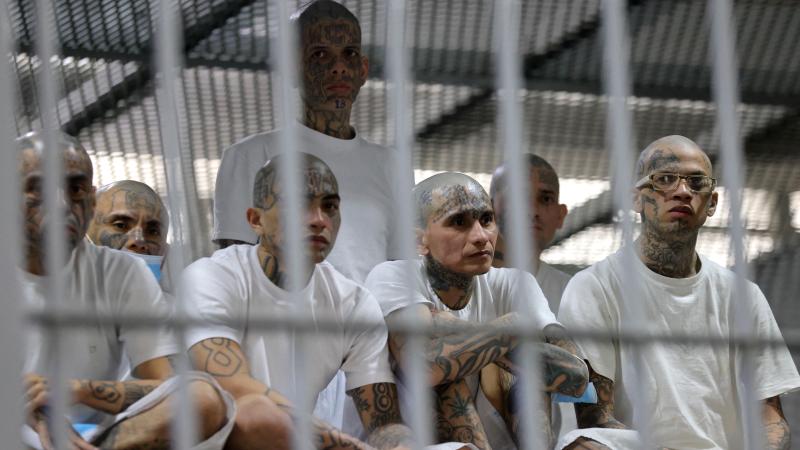 MS-13