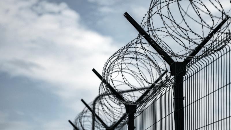 Four other former detention deputies and a nurse have also pleaded guilty for being deliberately indifferent to Turley's condition.