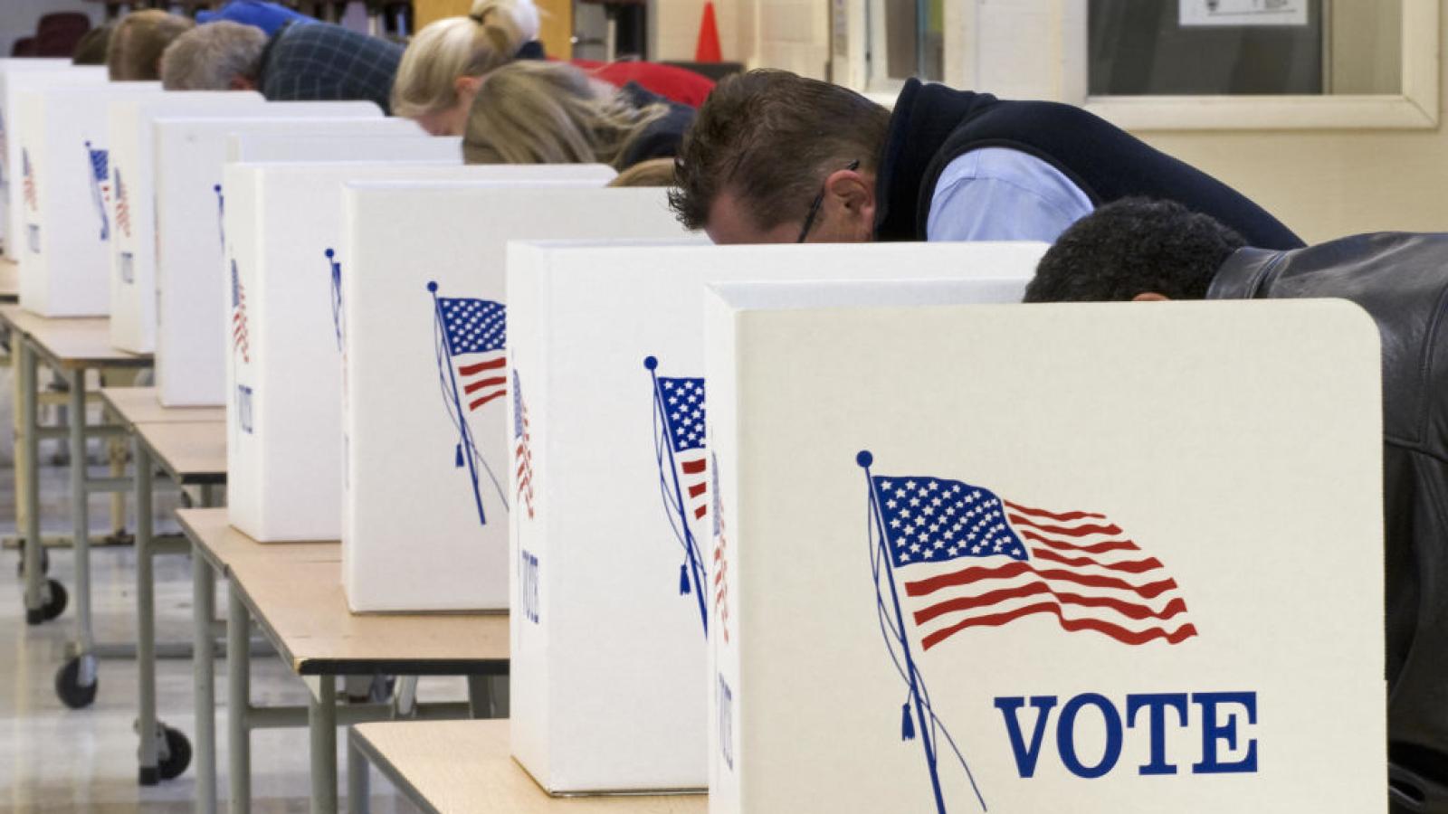 Voters in Virginia in 2008