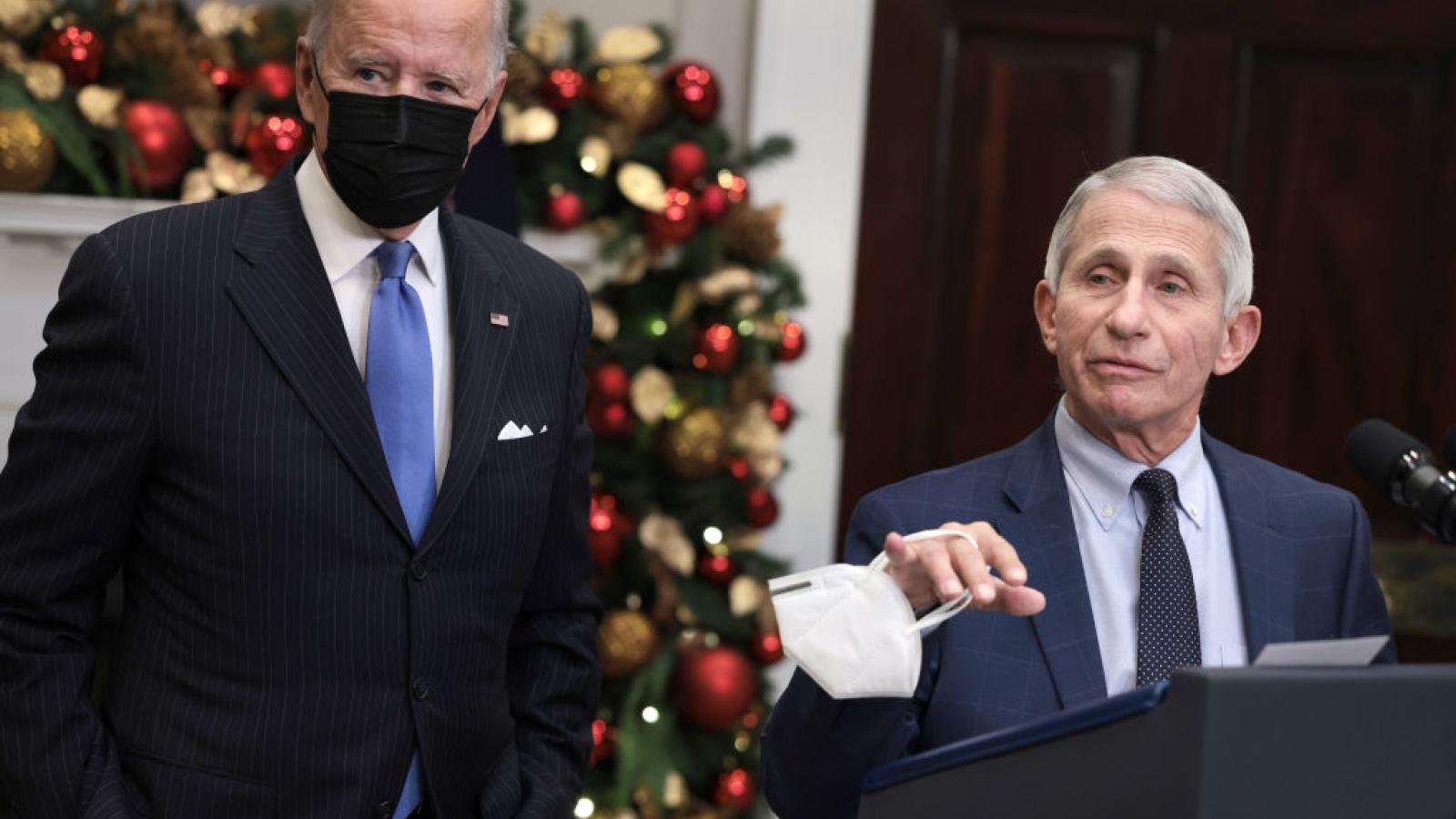 Fauci Biden