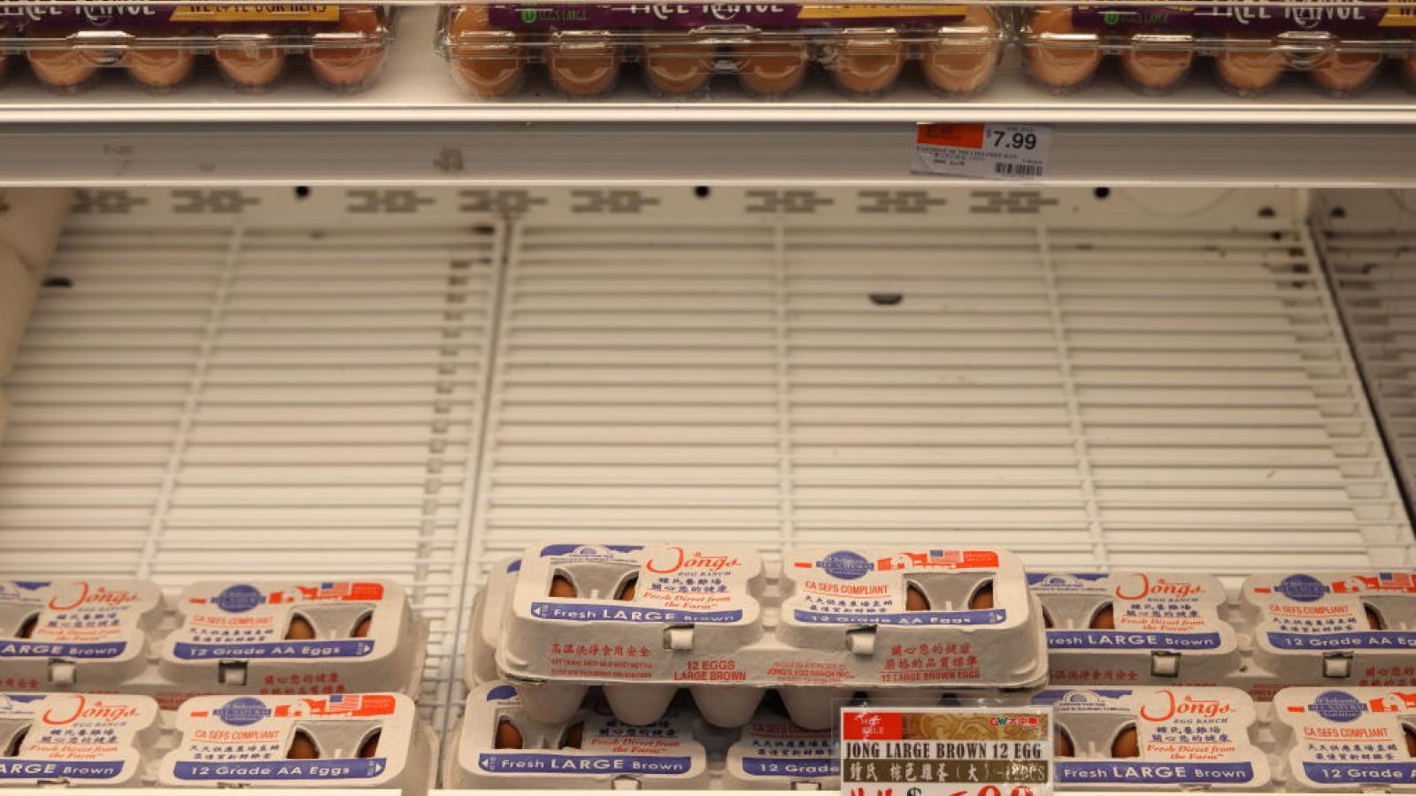 eggs